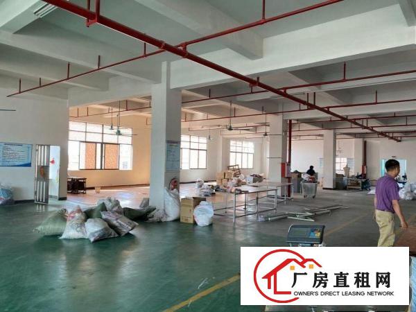  整层厂房出租，位置中心
