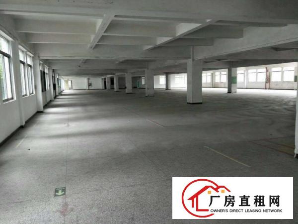  万江简沙洲新出独门独院标准厂房3600平方出租