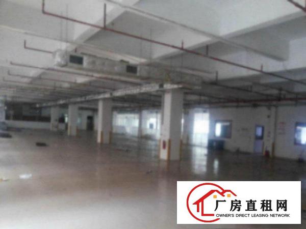  标准一楼厂房1800平方米,层高6米,可装行车,成熟工业区
