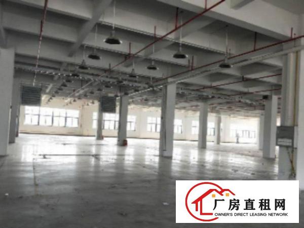  万江标准一楼厂房500平方800或1000㎡出租交通方便