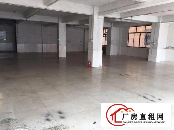  出租万江街道共联社区古新路15号二楼400平方米厂房/写字楼