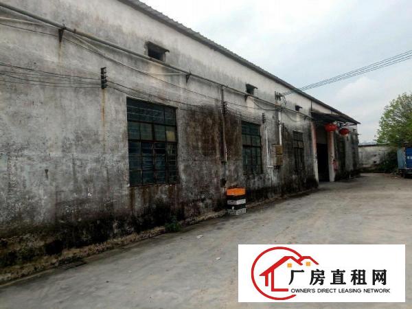  独门独院单一层厂房1100平方