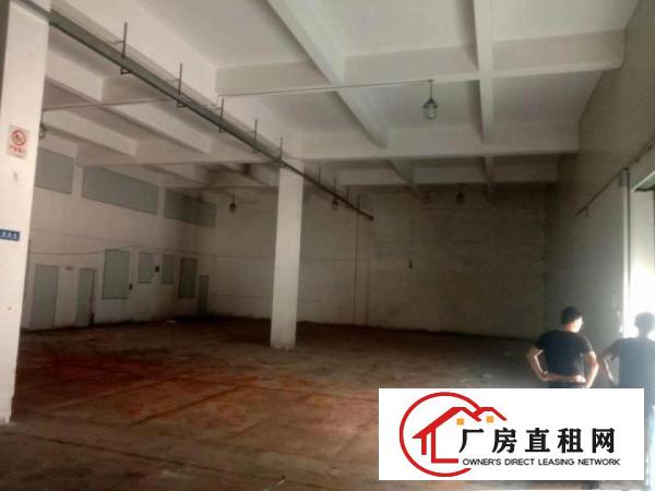  万江企石市场100-2000平米厂房出租