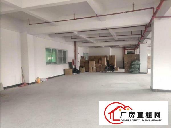  万江街道莫屋新出一700平厂房，原房东无公摊，租金便宜出租