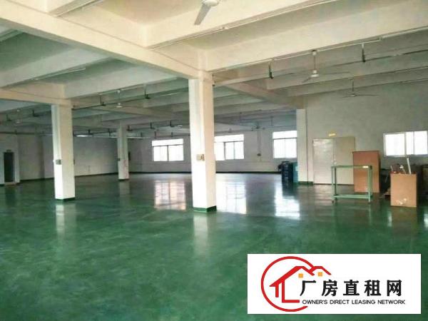  万江蟹地空出三楼1000平方厂房出租配2吨电梯有地坪漆空地大