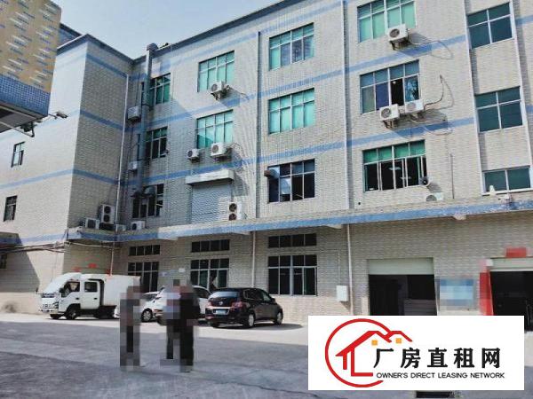  万江蟹地空出三楼1000平方厂房出租配2吨电梯有地坪漆空地大