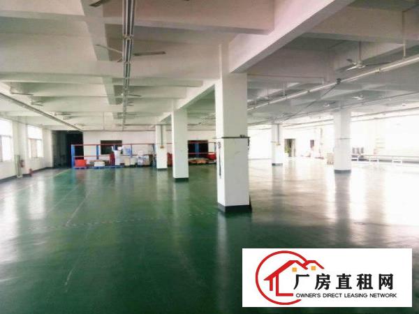  万江蟹地空出三楼1000平方厂房出租配2吨电梯有地坪漆空地大