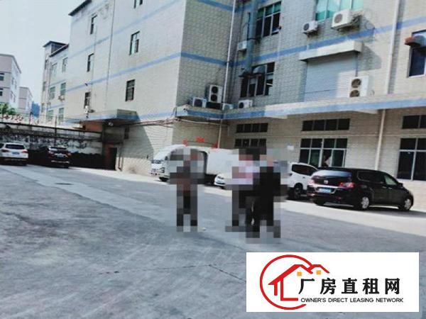  万江蟹地空出三楼1000平方厂房出租配2吨电梯有地坪漆空地大