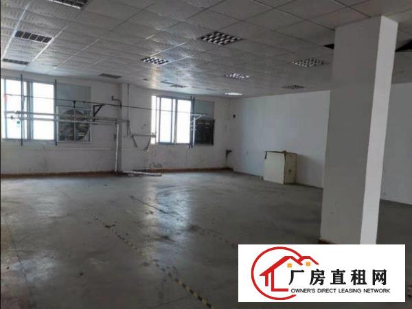  万江区标准厂房出租原房东5300平米，货车卸货方便可办环评