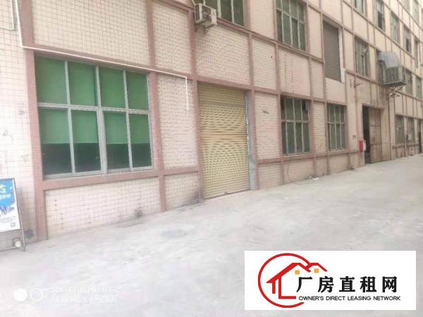  万江严屋新出单一层厂房340平方，大车好进出