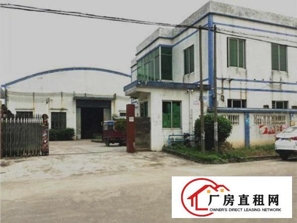  万江大汾一手原房东出租独院2700平方单一层厂房面积实形象好
