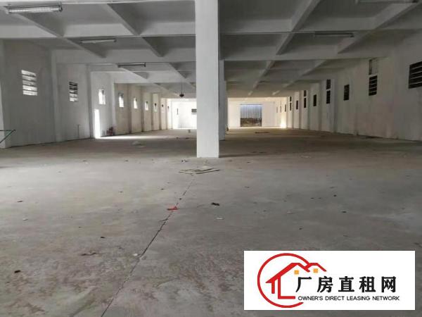  出租万江独门独院单一层厂房