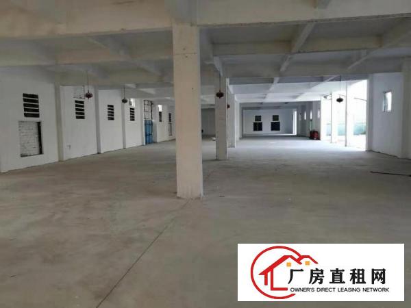  出租万江独门独院单一层厂房