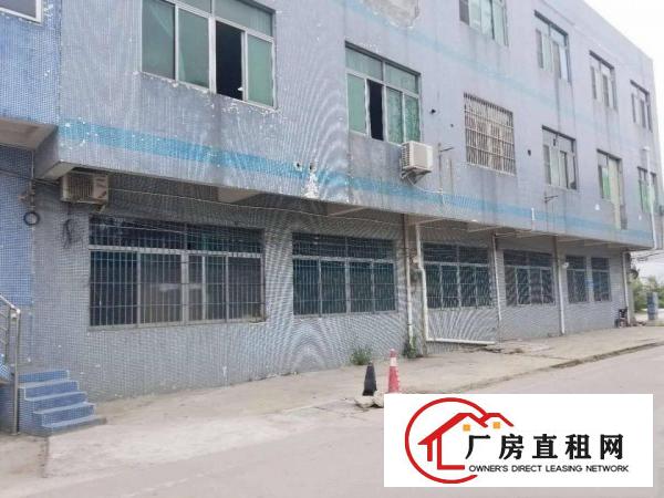  万江新和附近600平方厂房出租