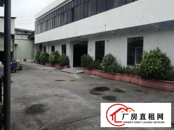  万江新和附近600平方厂房出租
