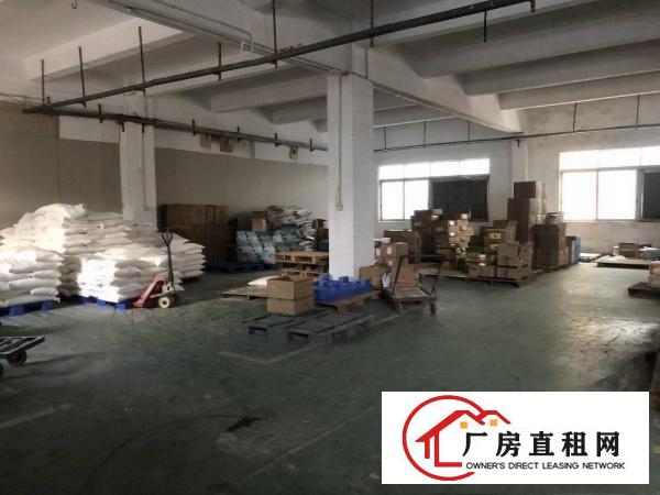  万江新和附近600平方厂房出租