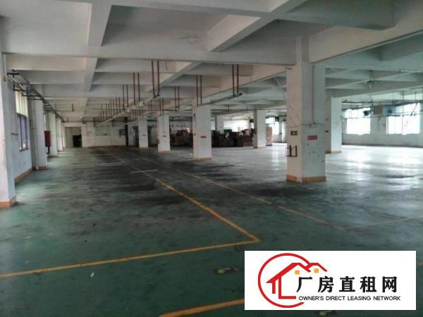  独栋标准厂房空地大方便停车周边环境好易招工适合各行各业