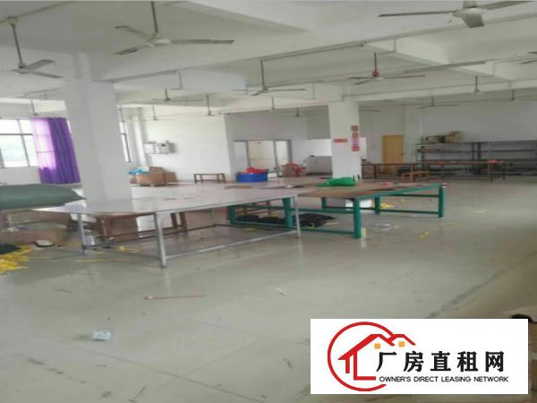  万江区标准厂房出租1200平米原房东出租，价格好谈