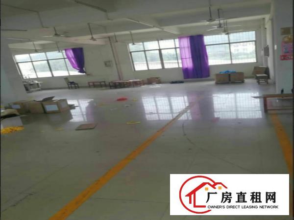  万江区标准厂房出租1200平米原房东出租，价格好谈