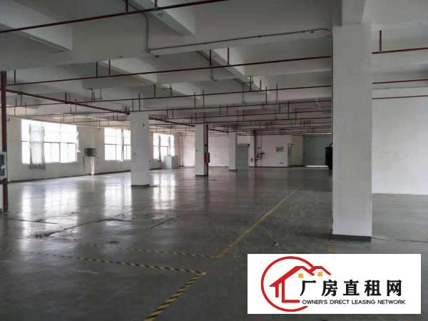  万江区标准厂房出租1200平米原房东出租，价格好谈