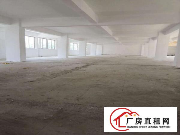  万江新和一期厂房价格可议