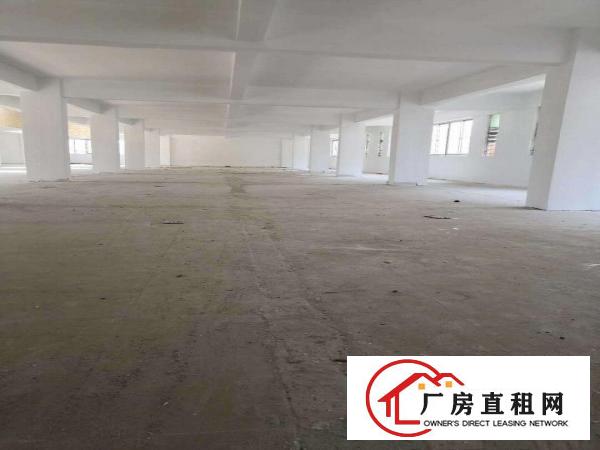  万江新和一期厂房价格可议