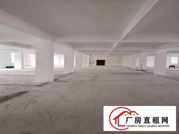  万江新和一期厂房价格可议