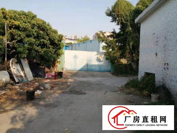  万江石美现空出单一层厂房700平方