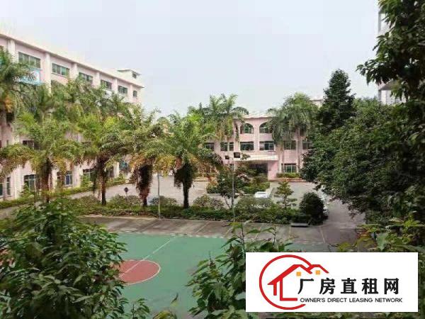  万江20000平米楼房独院花园式厂房