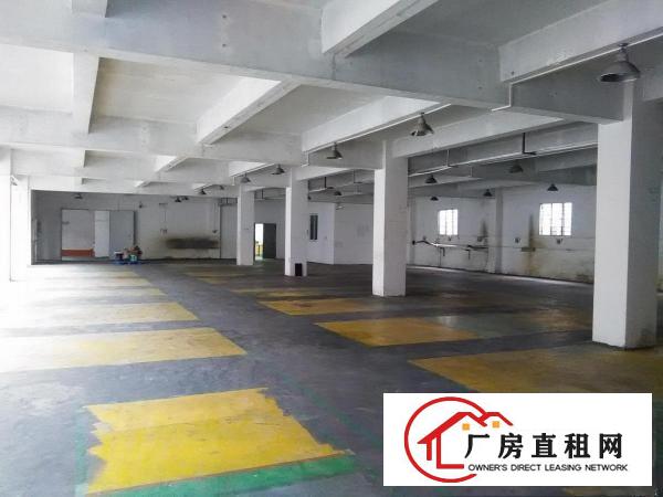  万江正规标准一楼400平方或者800平方分租
