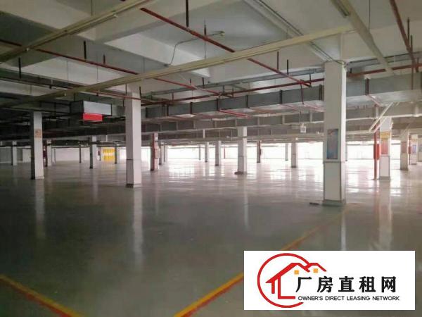  原房东独门独院配豪华办公喷淋消防标准厂房三层证件齐全能办环评