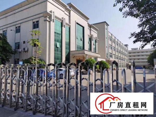  万江新出1000方精装修厂房出租