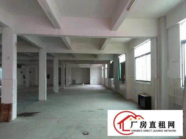  万江七宝一丁厂房价格可议