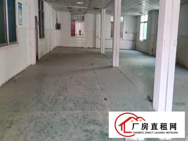  万江七宝一丁厂房价格可议