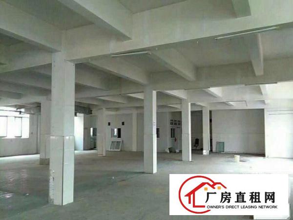  万江七宝一丁厂房价格可议
