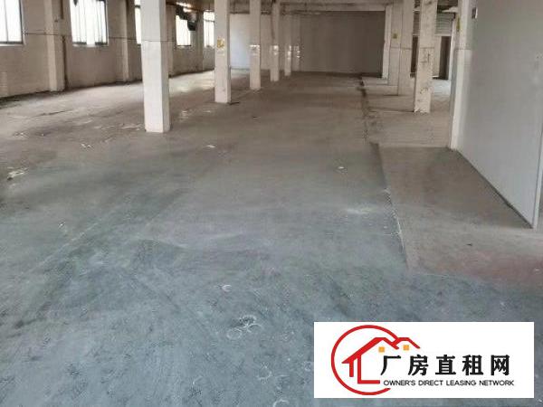  万江七宝一丁厂房价格可议
