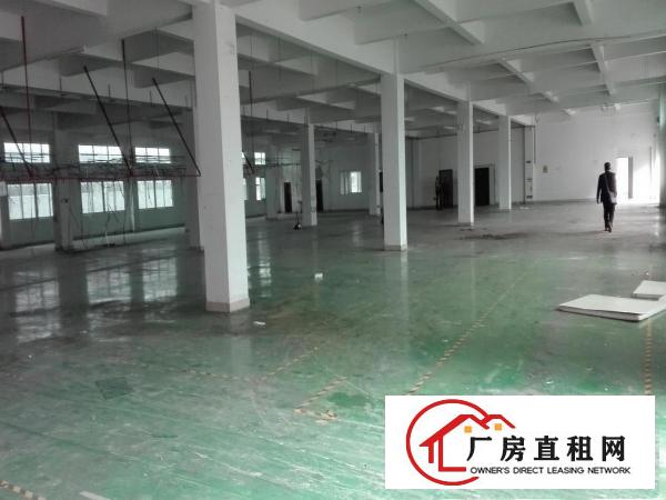  石美新出1000平米2楼厂房整层招租