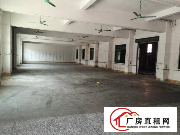  万江滘联新出标准厂房一楼360平方，带现成办公室