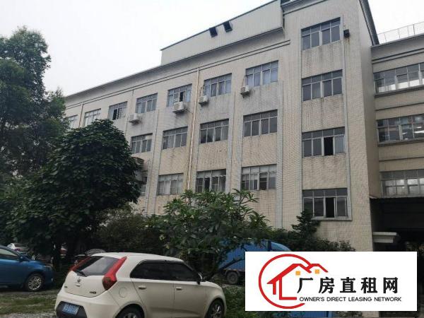  万江滘联新出标准厂房一楼360平方，带现成办公室