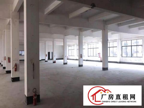  东莞万江|1452平业主直租|采光好|格局方正|近高速