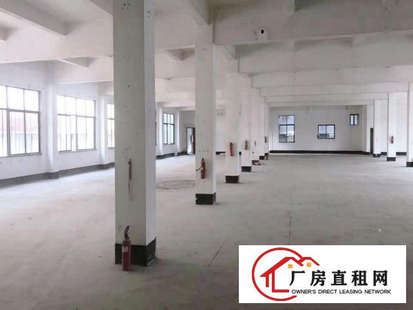  东莞万江|1452平业主直租|采光好|格局方正|近高速