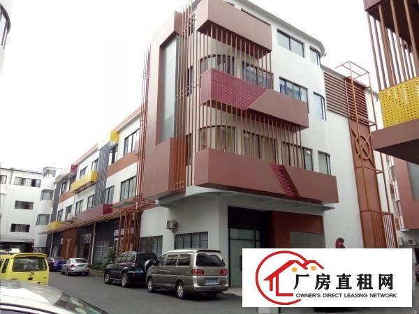  东莞万江|1452平业主直租|采光好|格局方正|近高速