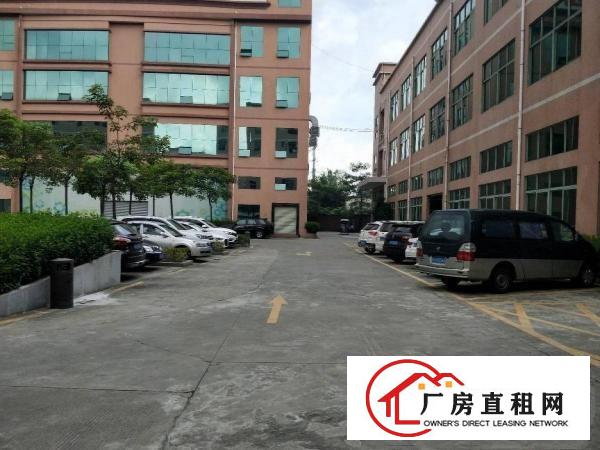  万江莫屋工业园新出标准一楼500平方