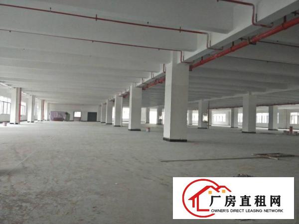  万江莫屋工业园新出标准一楼500平方