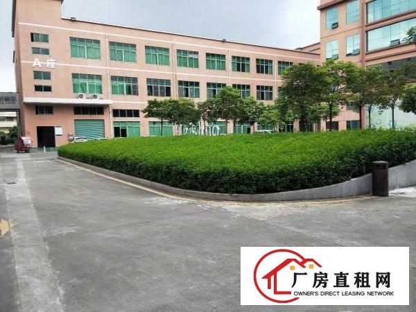  万江莫屋工业园新出标准一楼500平方