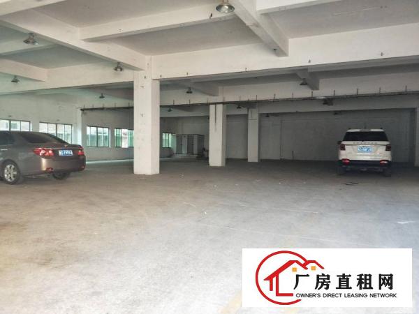  万江莫屋工业园新出标准一楼500平方