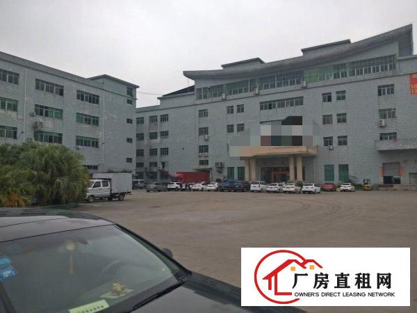  万江莫屋工业园新出标准一楼500平方