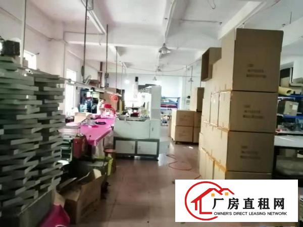  万江石美全新钢构滴水6米厂房出租
