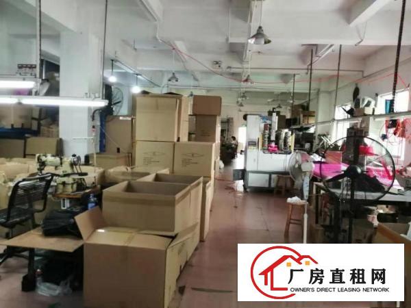  万江石美全新钢构滴水6米厂房出租