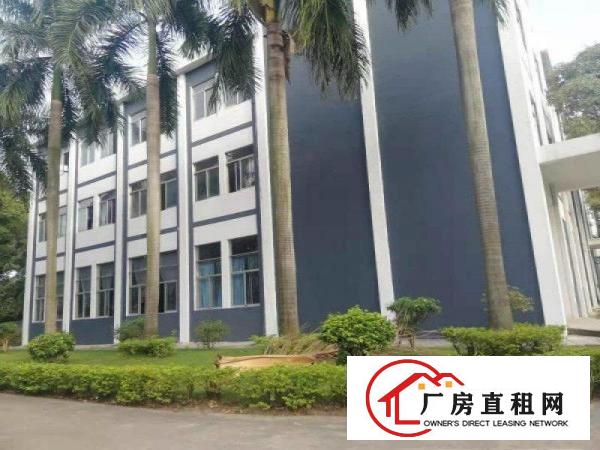  万江严屋标准厂房分租1000平方起租